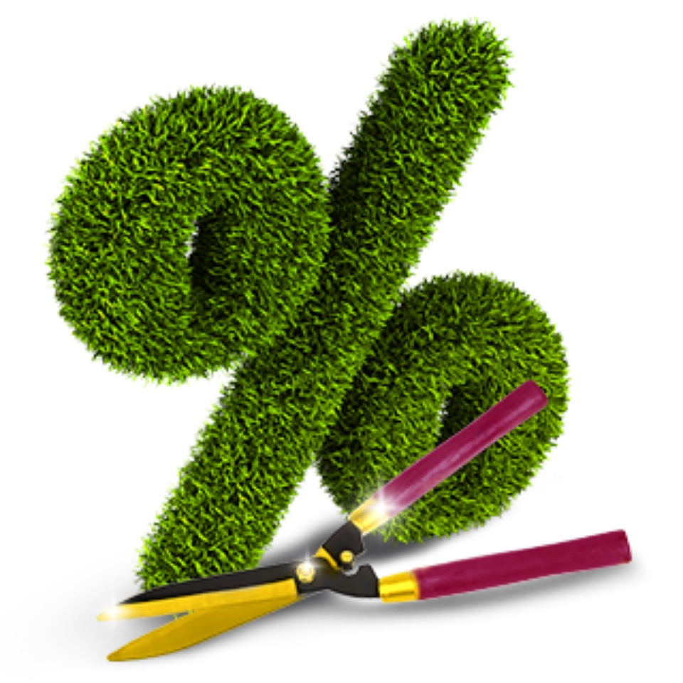 procent wycięty z żywopłotu