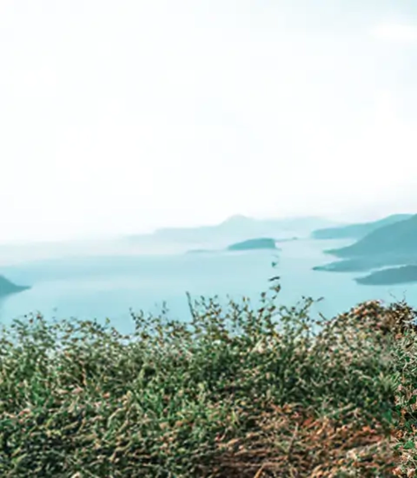 zdjęcie gór i roślinności