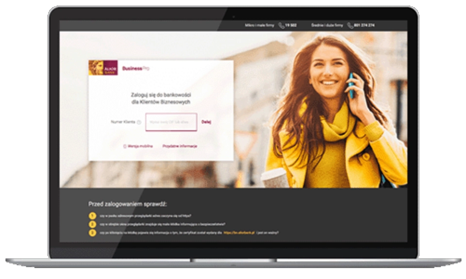 Ekran logowania do Systemu BusinessPro