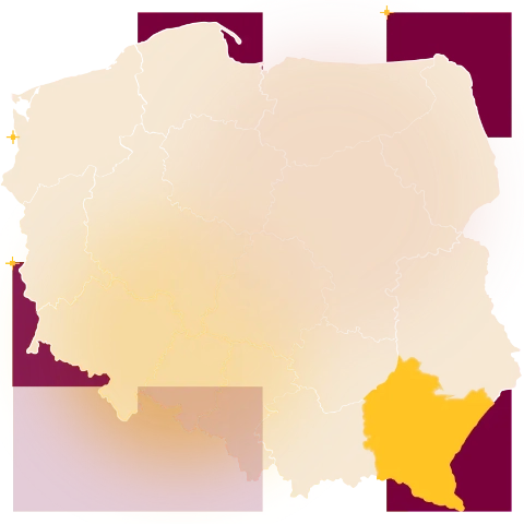 Mapa Polski z zaznaczonym woj. podkarpackim
