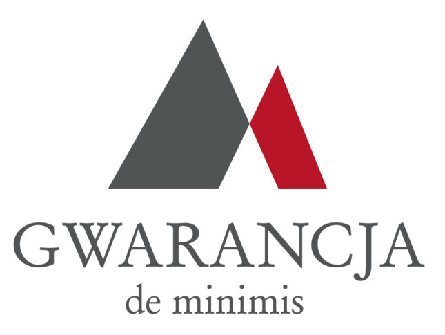 Karta Gwarancja de minimis